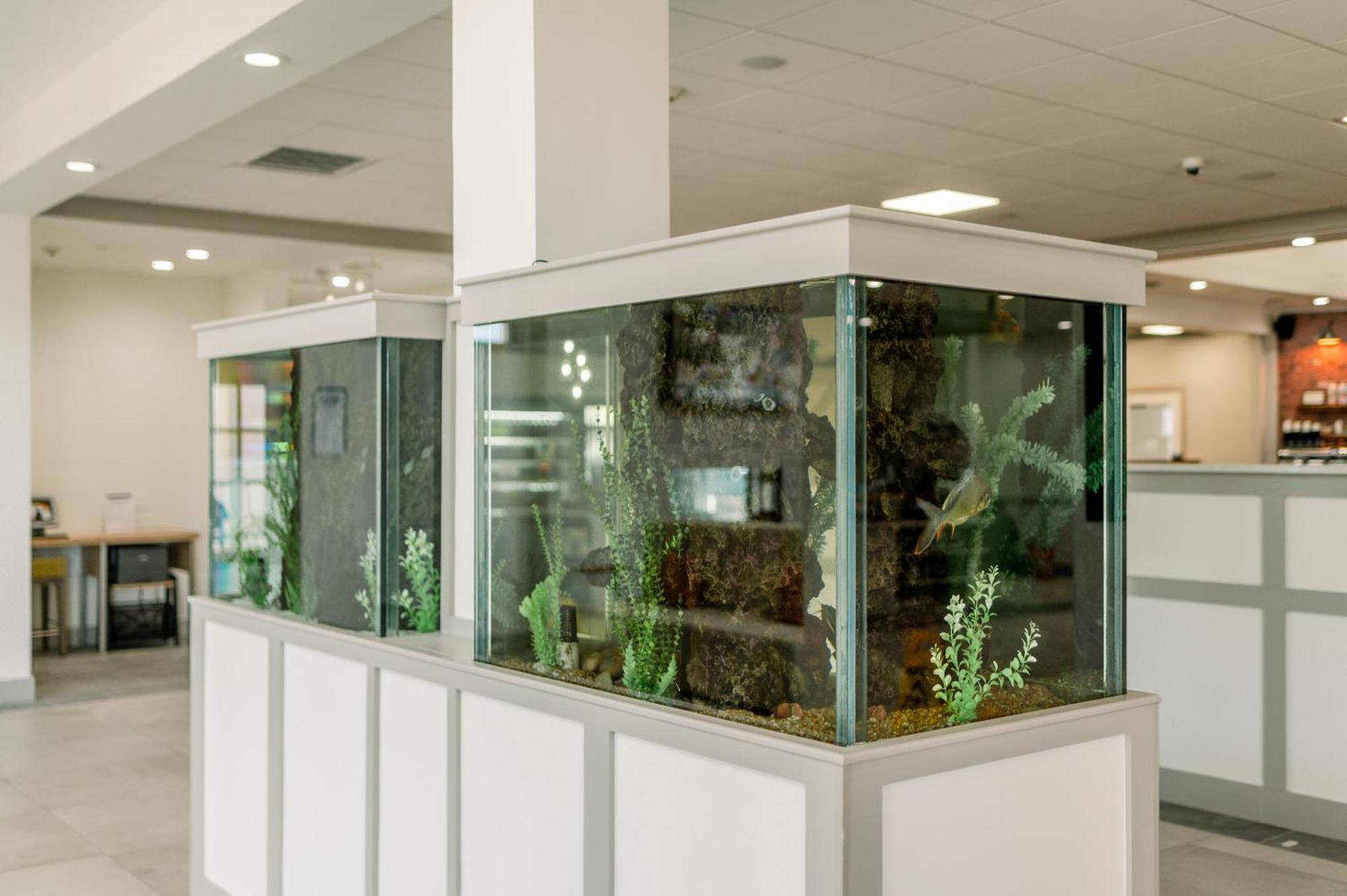 Hilton Garden Inn Outer Banks/Kitty Hawk Buitenkant foto