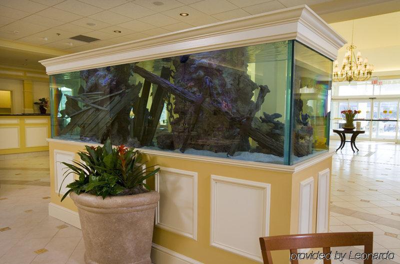 Hilton Garden Inn Outer Banks/Kitty Hawk Interieur foto
